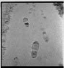Foot prints in snow